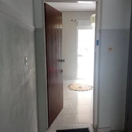 Lemon - Happyhostgr - Downtown